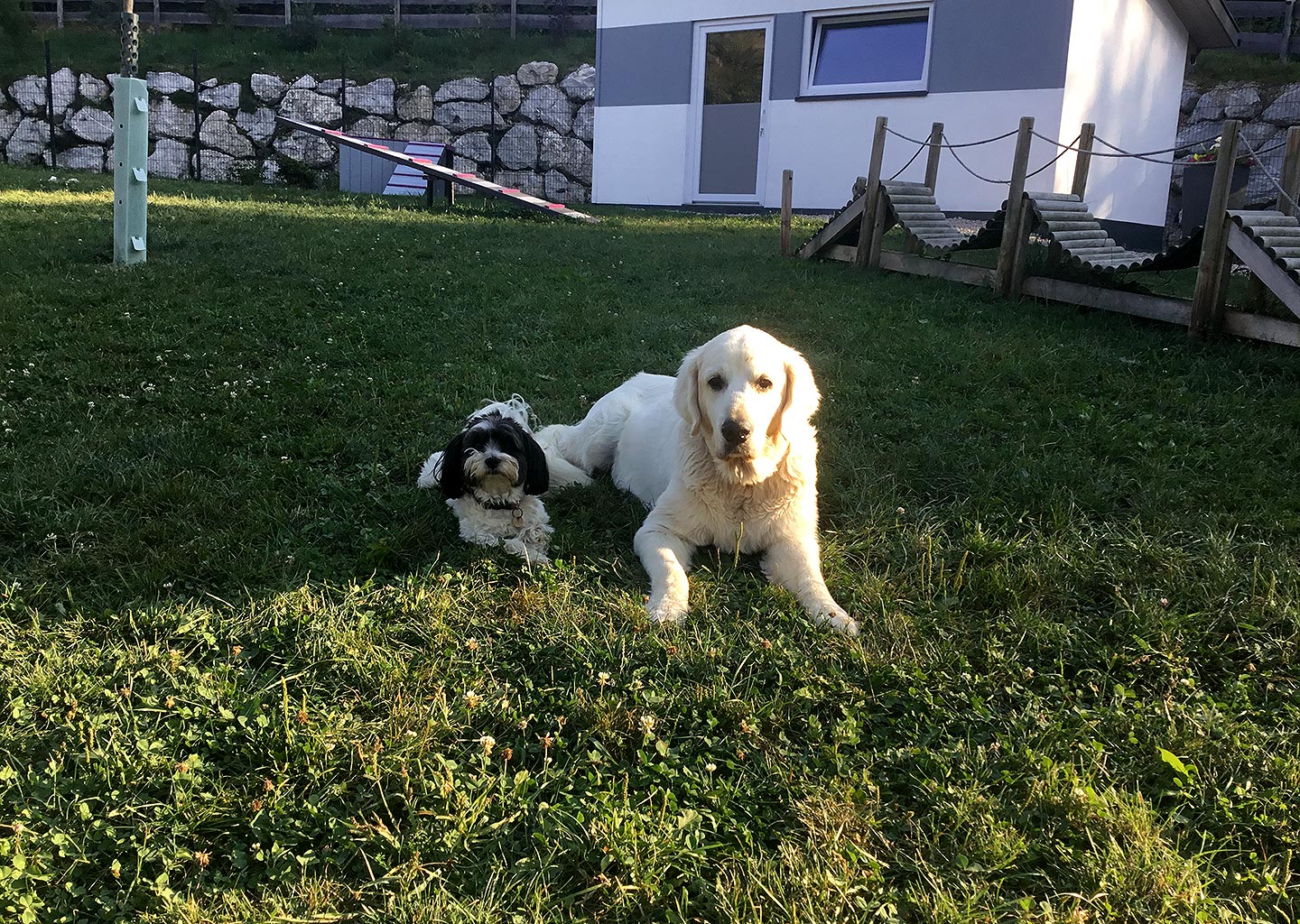Hundehotel Anders!