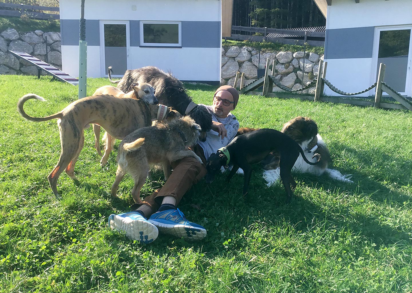 Hundehotel Anders!