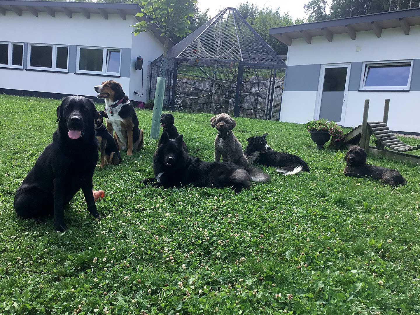 Hundehotel Anders!