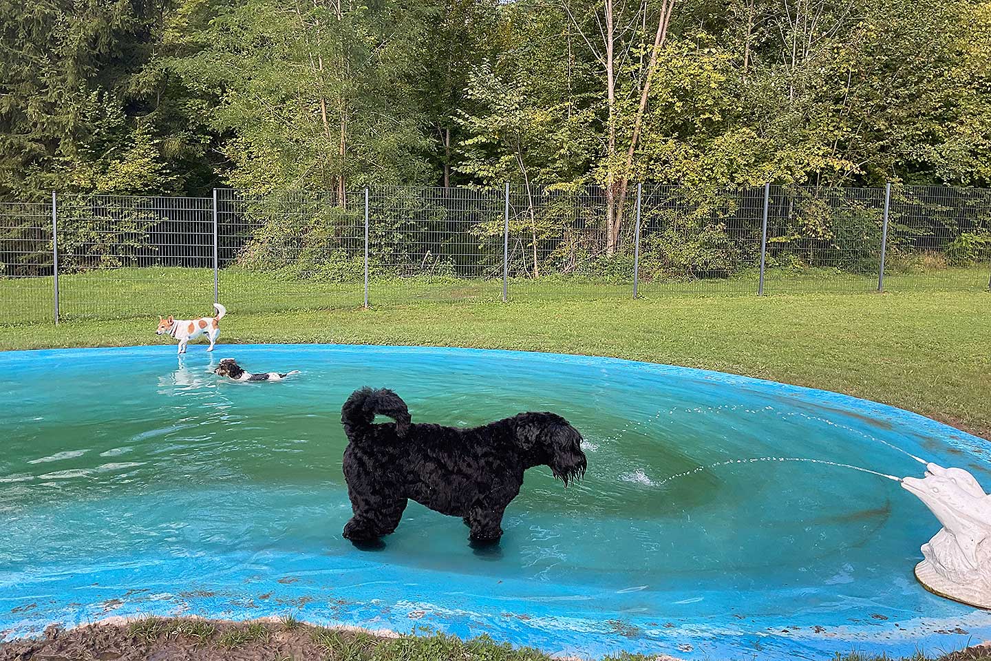 Hundehotel Anders!