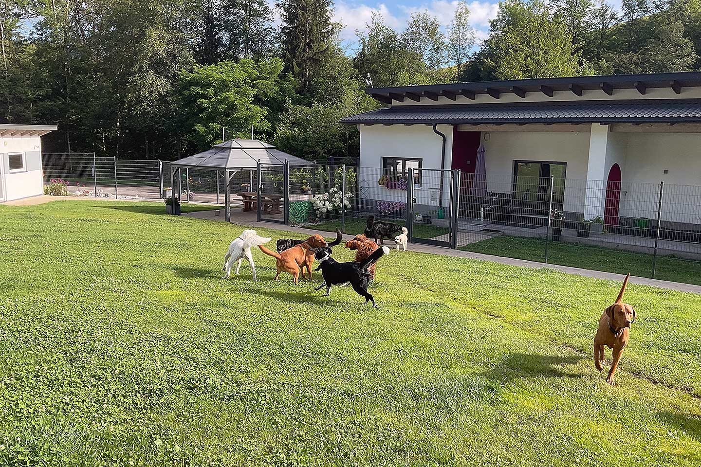 Hundehotel Anders!