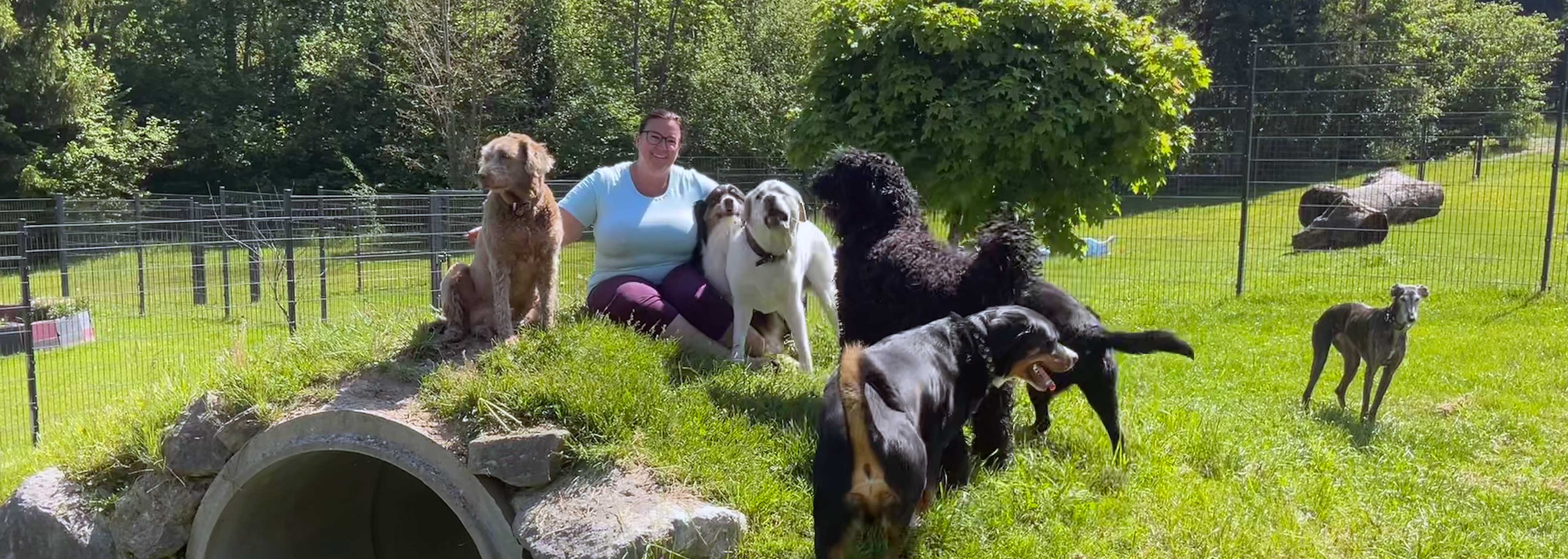 Hundepension Anders!