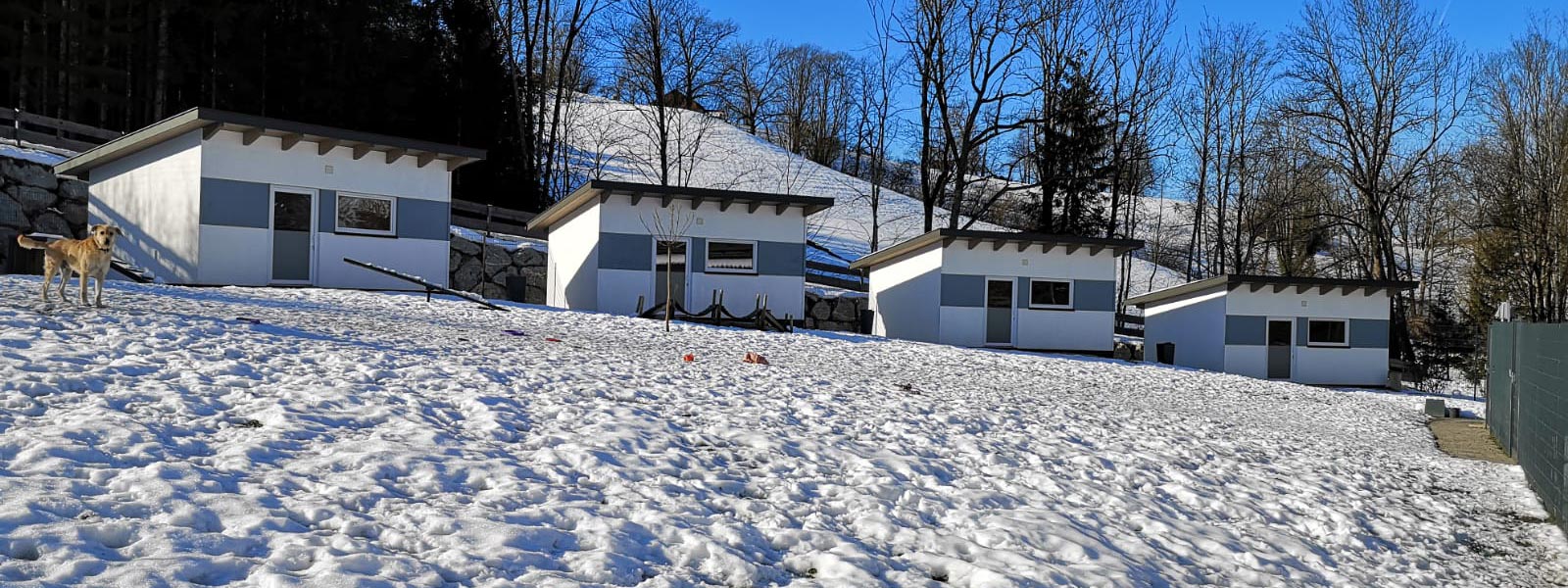 Hundepension Anders!