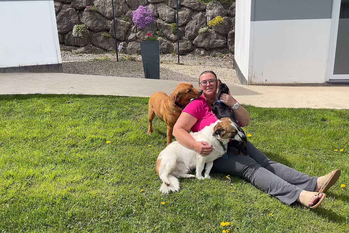 Hundehotel Anders!